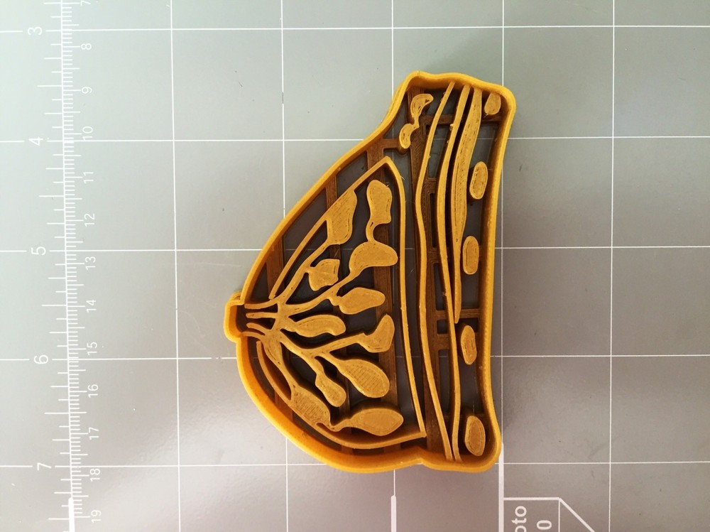 Breast Anatomy Cookie Cutter