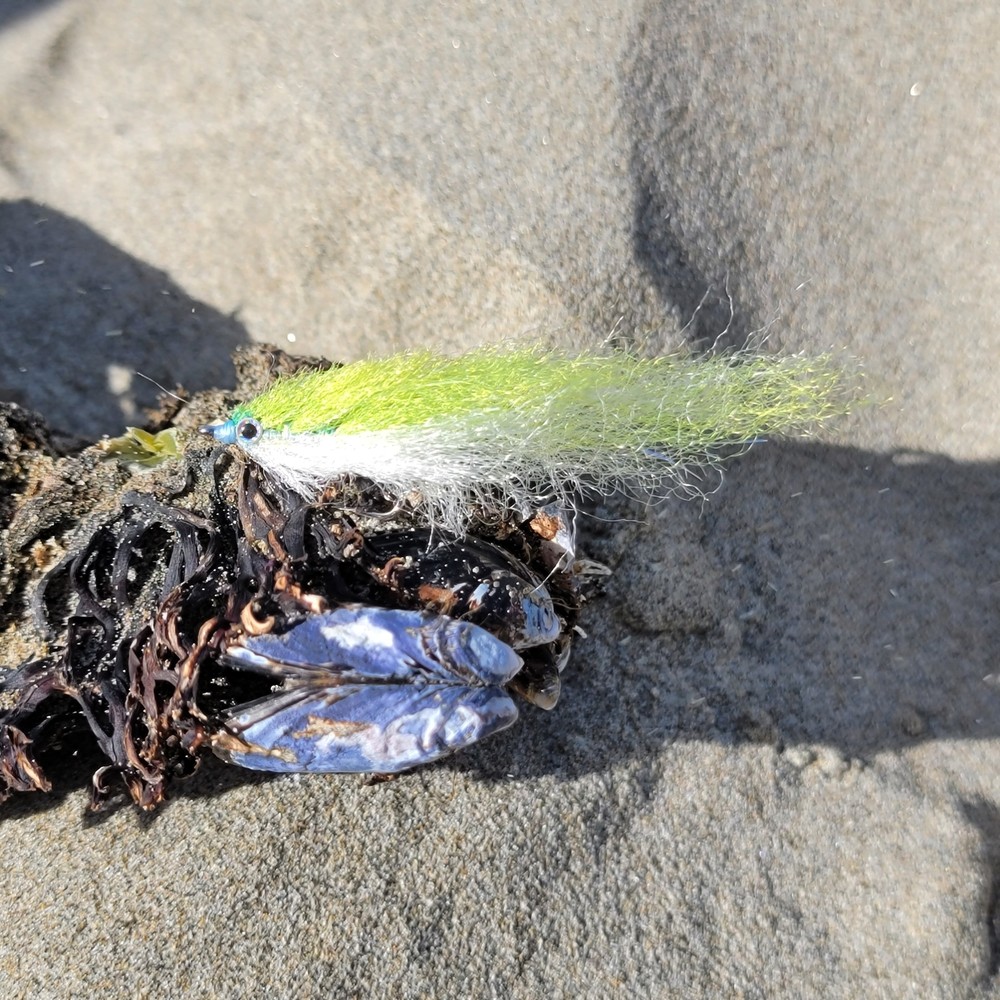 Salty Baitfish Chartreuse | Size 4