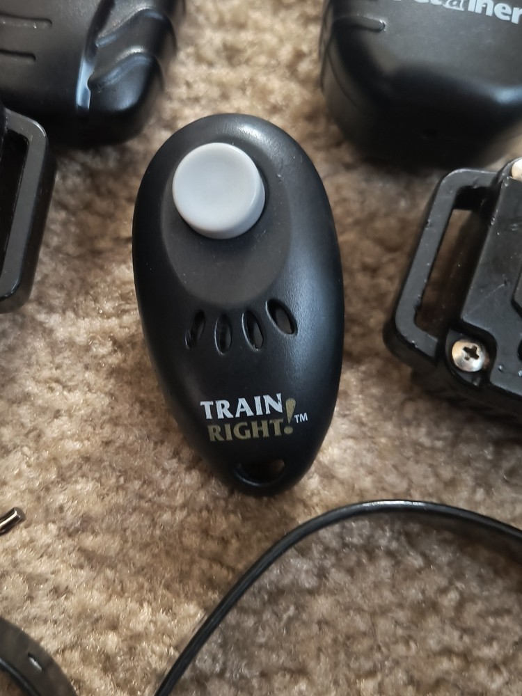 Aetertek AT-918C Dog Training Systems