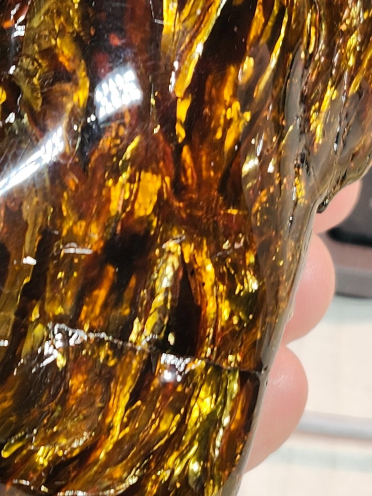 Lion's Mane Amber, Sumatra, Indonesia