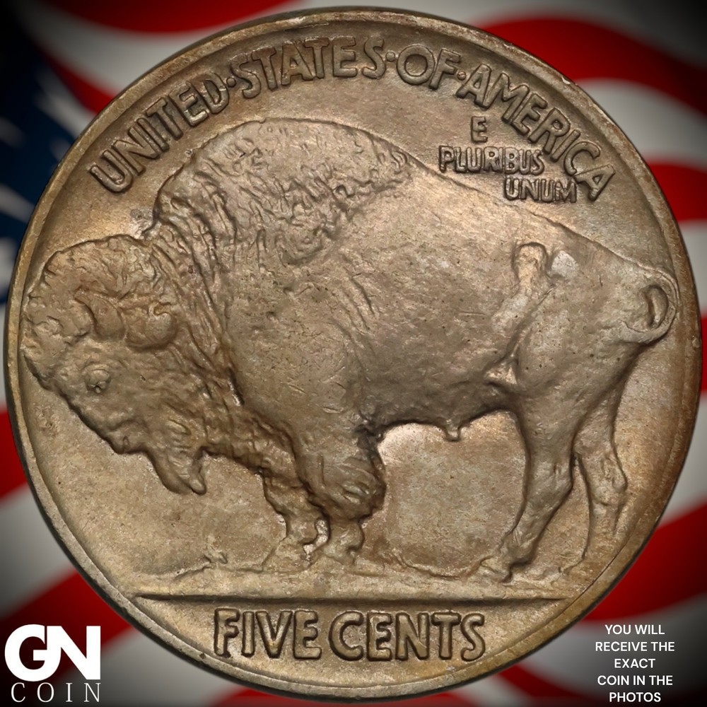1913 P TYPE 2 Buffalo Nickel B0961