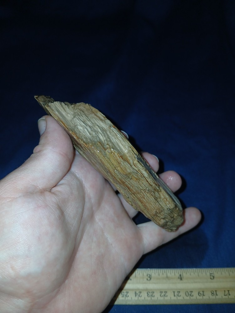 8.3 oz Texas Petrified Wood