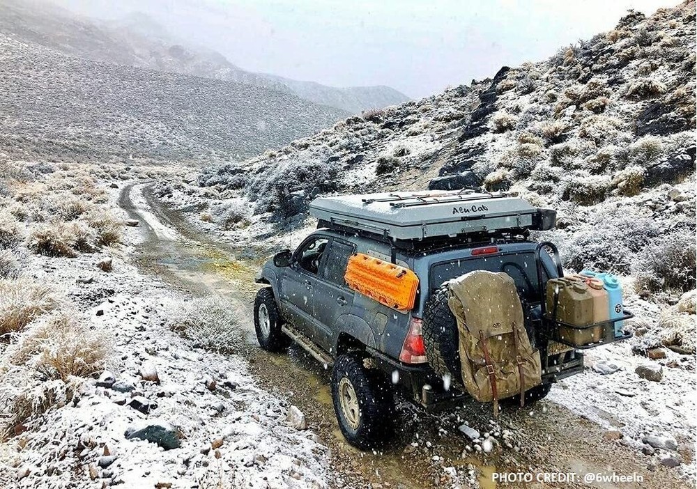 Scepter BPA Durable Portable Water Storage Container, Green (5 Pack)