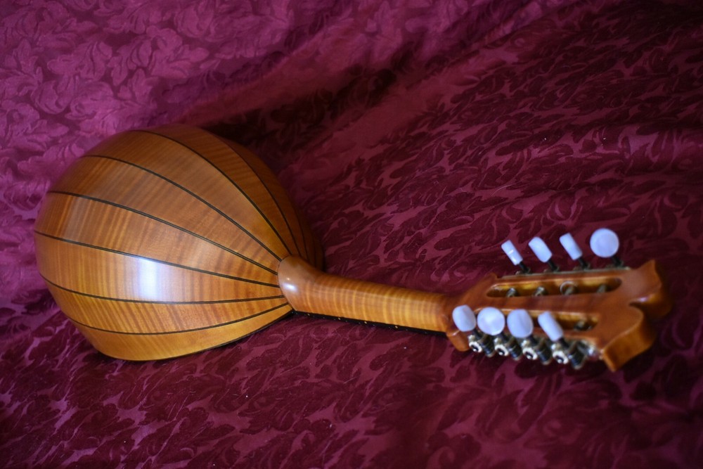 German style mandolin. UNIQUE! 德国风格的曼陀林。独特！ 。