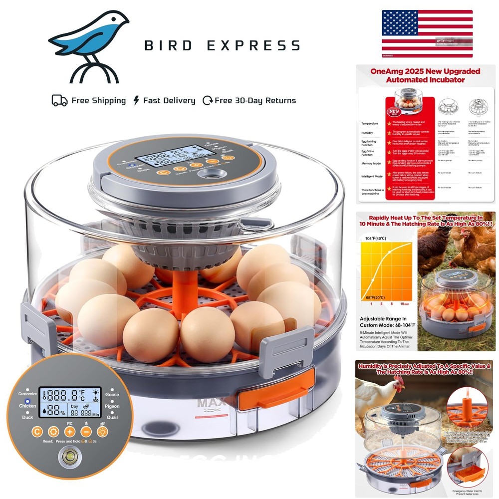 Automatic Chicken Egg Incubator 12-40 Eggs Digital Control Hatching Poultry