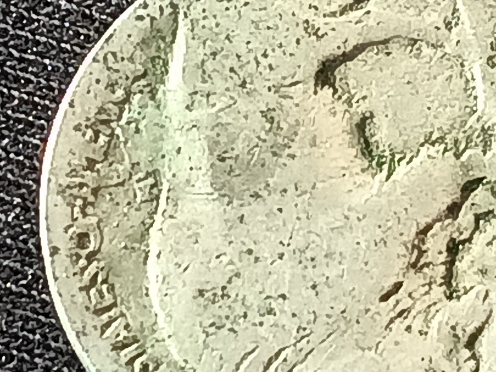 Undated Indian Head Buffalo Nickle