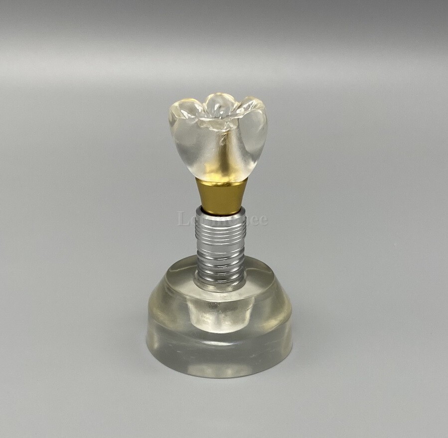 Dental Implant Model Detachable Demonstration Teeth Study Teach Model M2020
