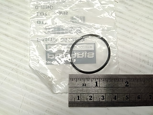 O-RING, 31 - ---- POLARIS NOS