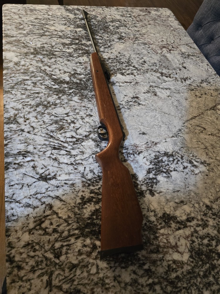 Ruger Air Hawk .177 Air Rifle