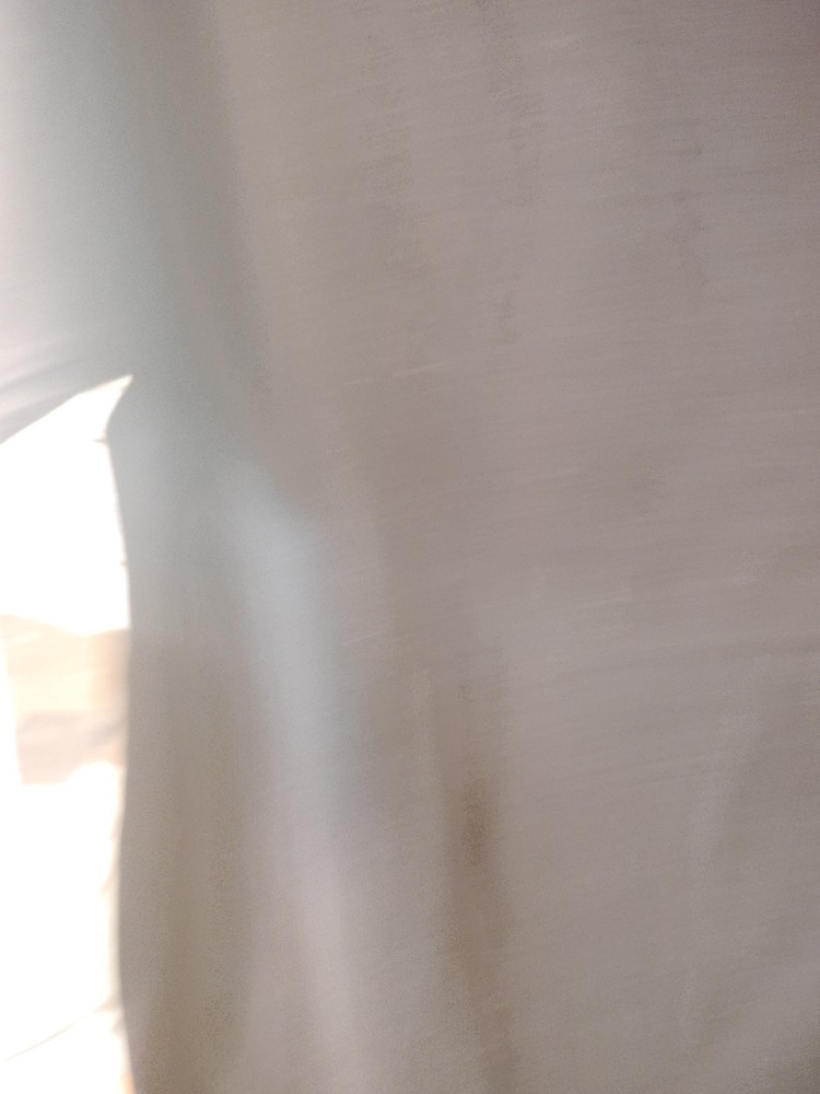 Venice Surfing Association Tshirt