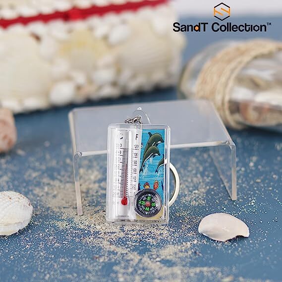 Dolphin Thermometer Compass Keychain