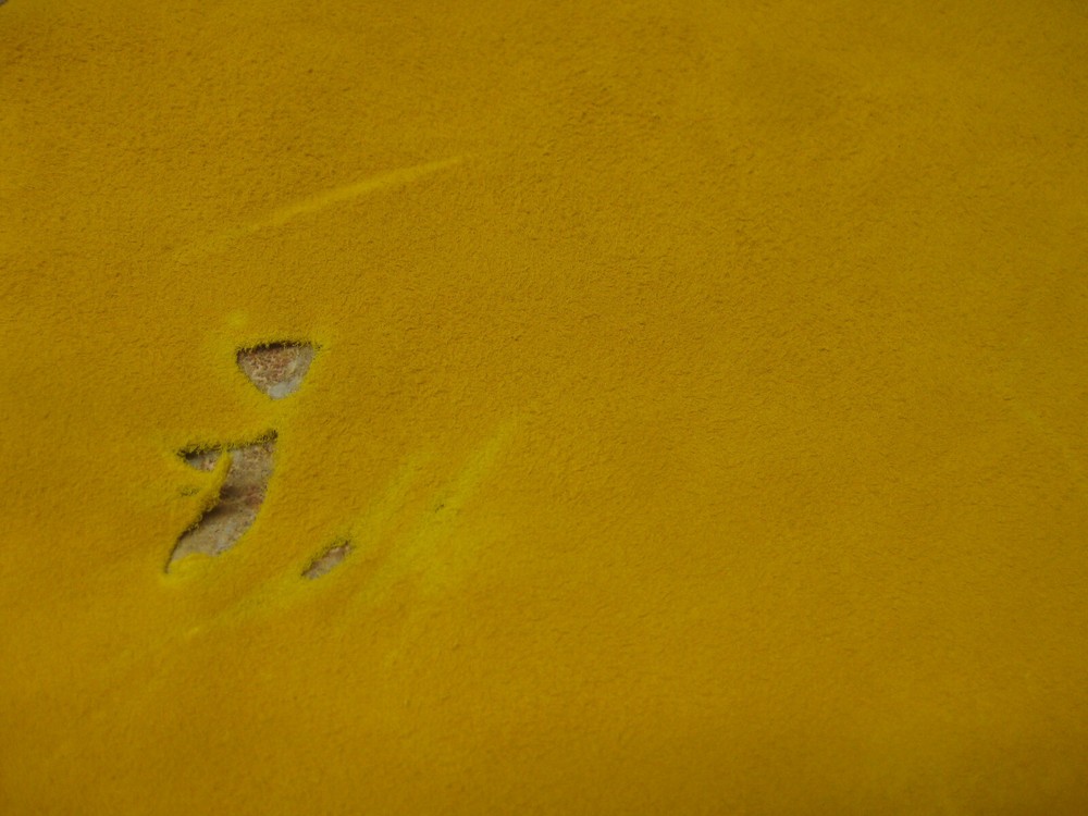 Suede Deer Leather #0010760 Row K