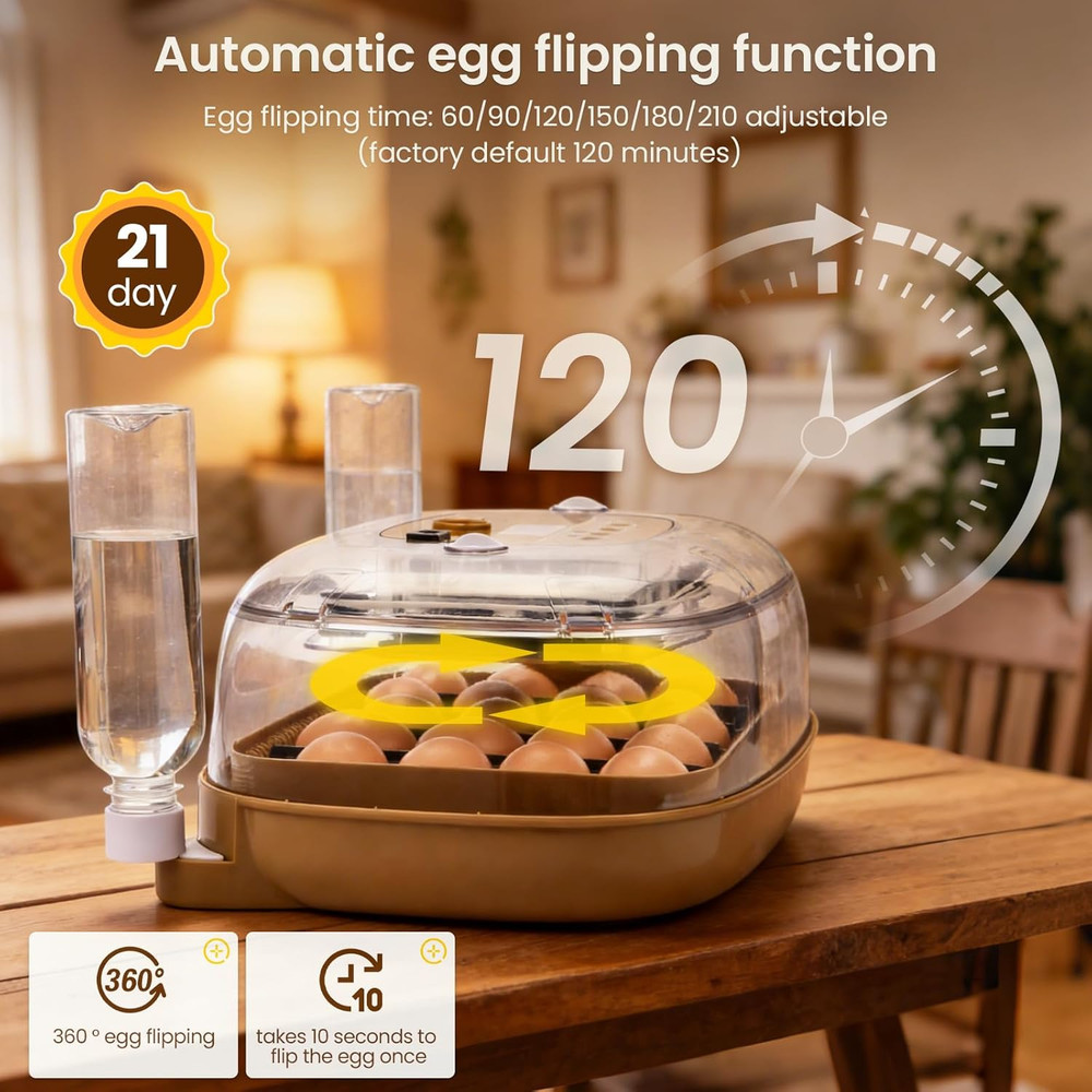 24-Egg Incubator with Auto Turner & Temp Control for Chickens, Ducks & More