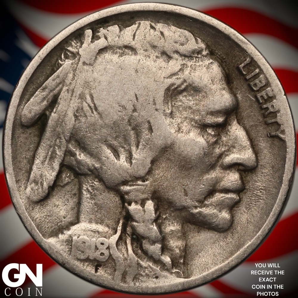 1918 D Buffalo Nickel A2813