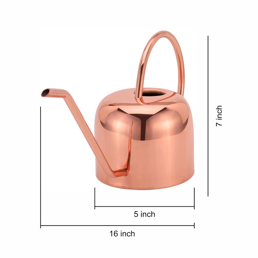 - Indoor Watering Can and Planter with Plate.