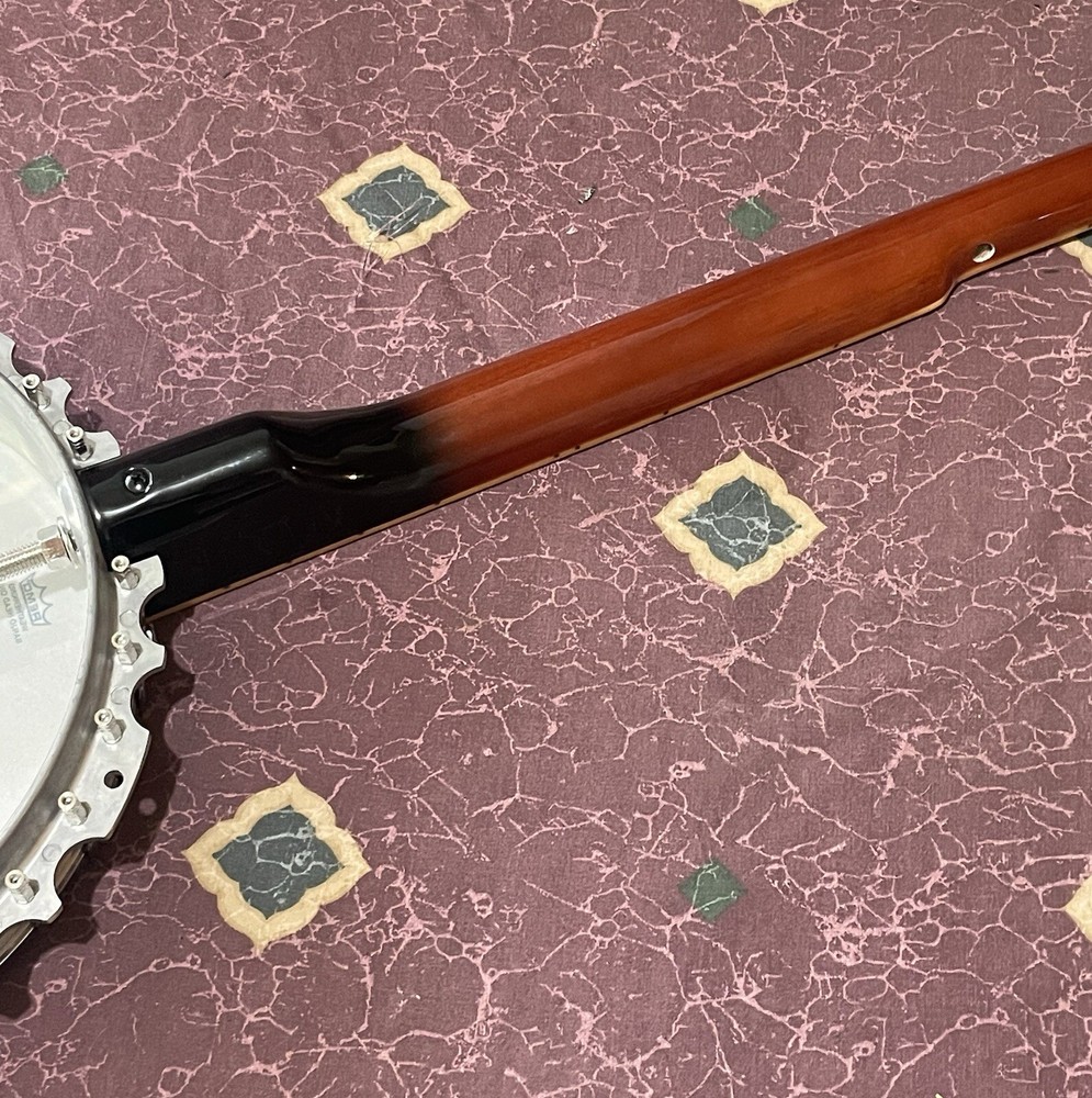 Rogue B30 5-String Banjo Easy Project