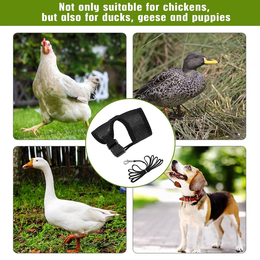 4 Pcs Adjustable Chicken Harness with Leash- 4 Styles Medium, 4