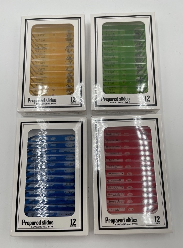 Prepared Slides - Educational Type - Set Of 4