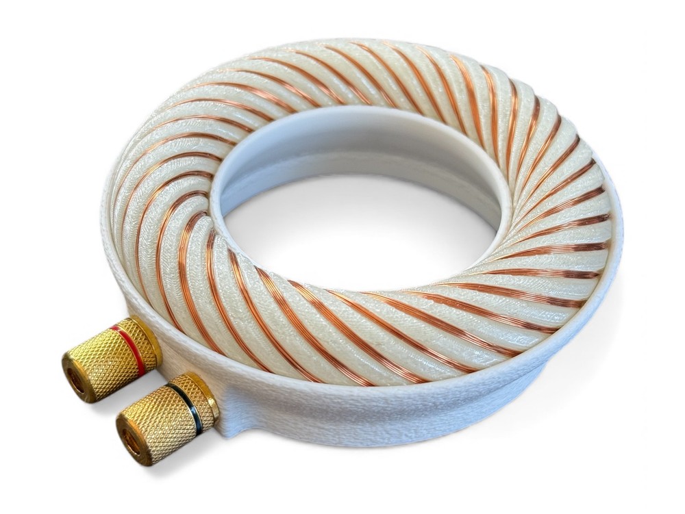 Rodin coil Scalar Wave toroidal field generator module