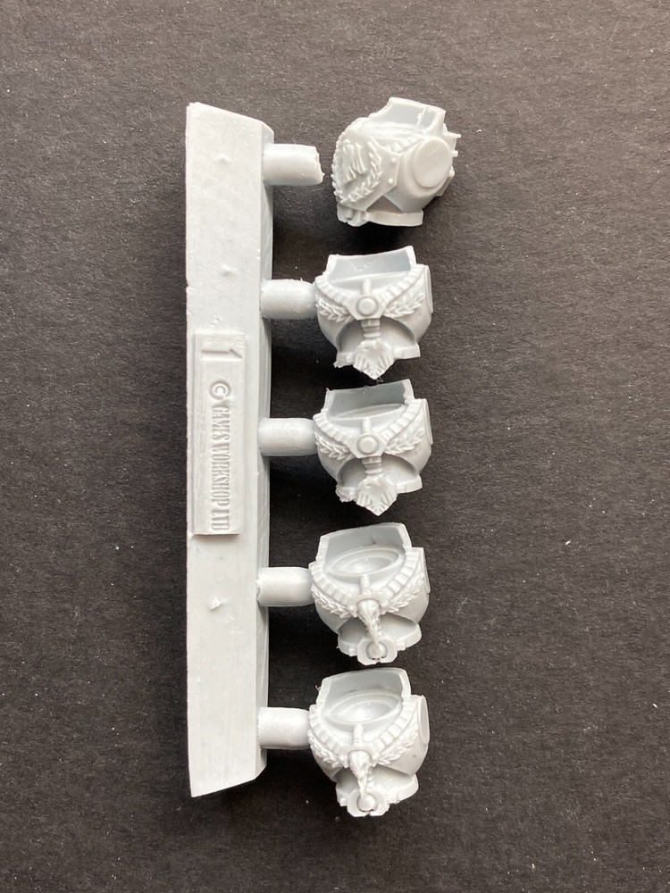 RAVEN GUARD torsos