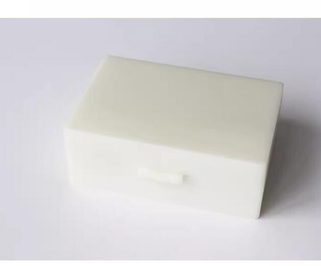 10PCS Prepared Microscope Slides in Algae Specimen f Teaching & Research