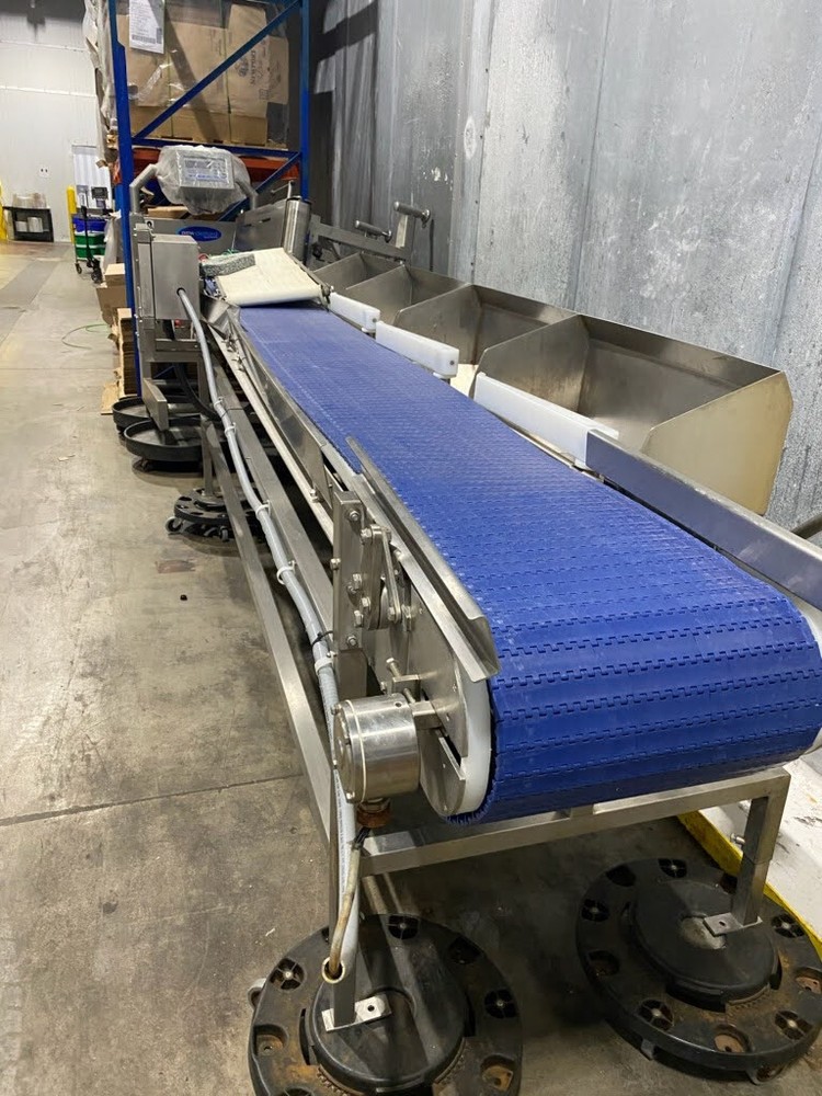 AEW DELFORD SORTING CONVEYOR 920-04