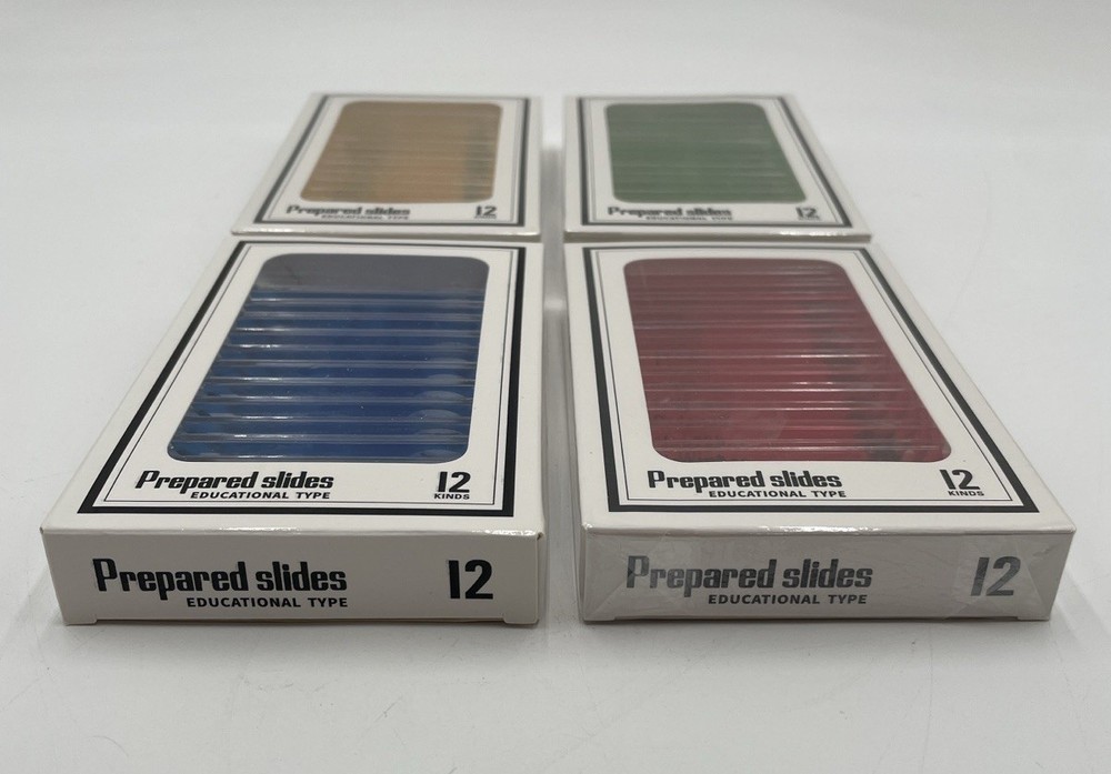 Prepared Slides - Educational Type - Set Of 4