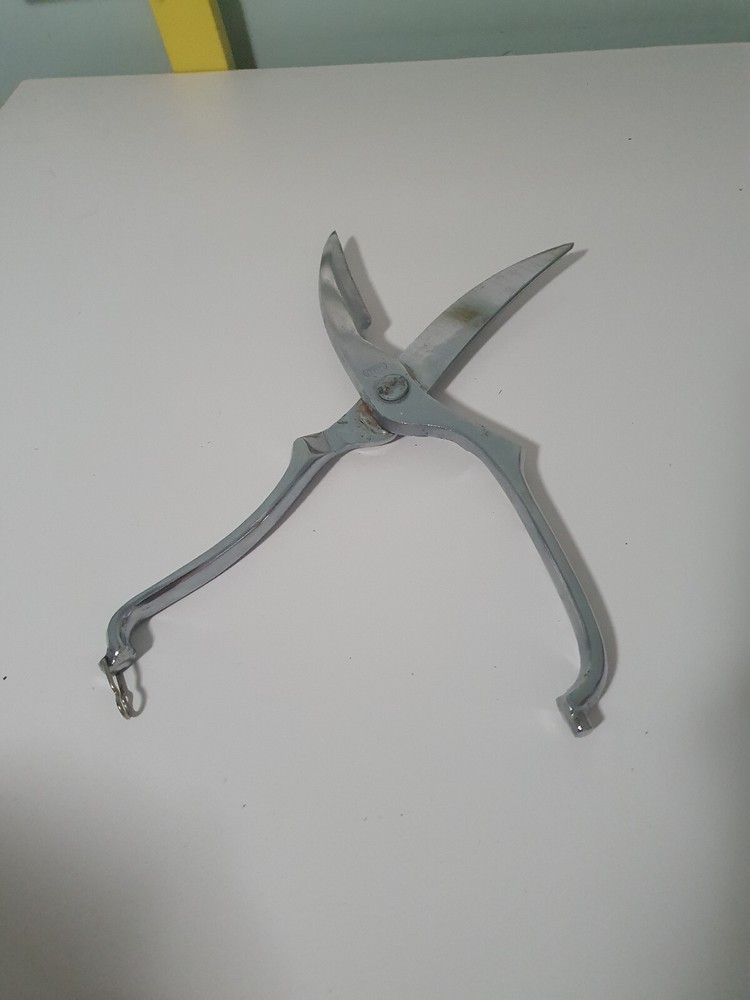 CHROM poultry shears made in italy - freshly sharpened