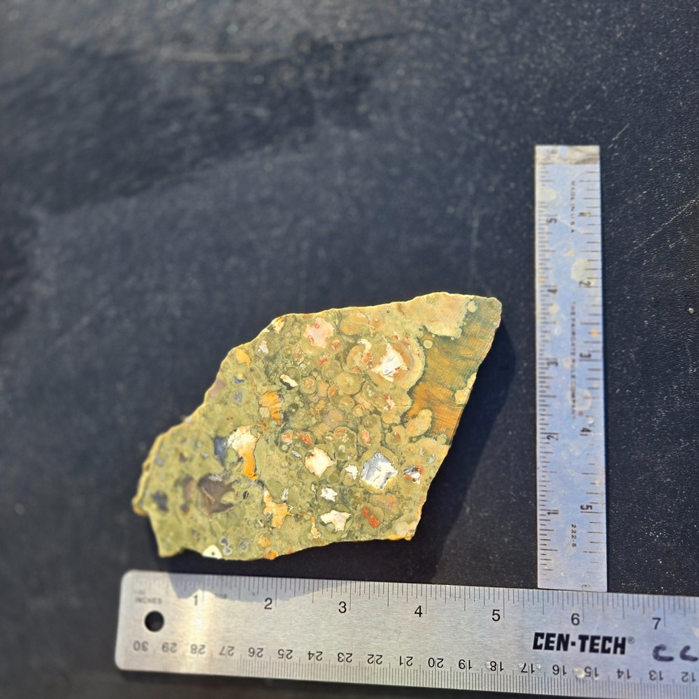 Rainforest Jasper slab