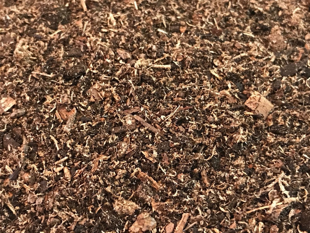 Premium Potting Soil Mixture for Ferns