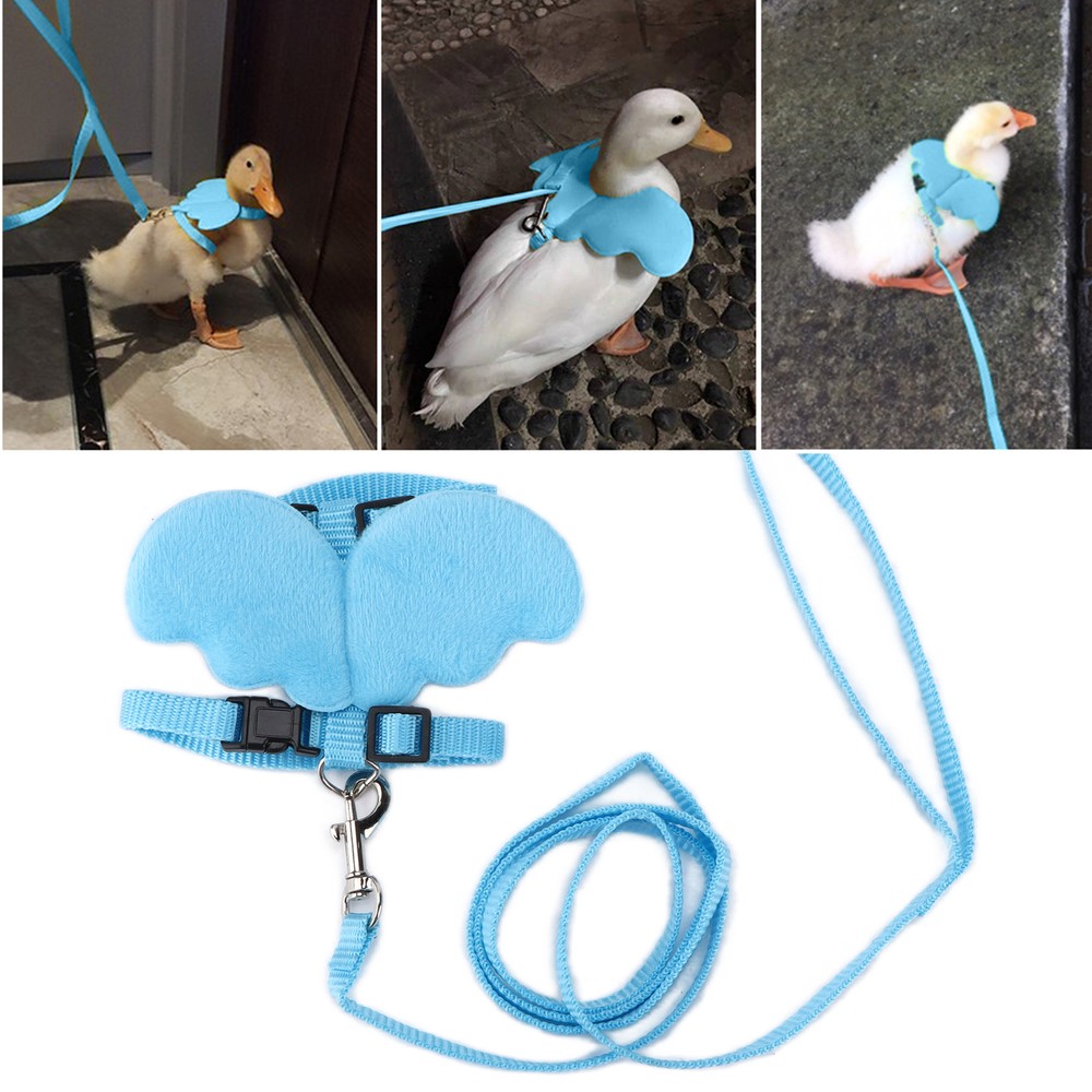Ducks Traction Rope Adjustable Chest Strap Outside Walking Harness Leash
