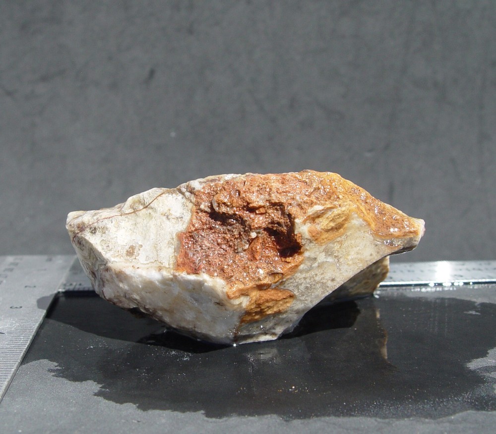 Lace Agate Small Lapidary Rough 1315