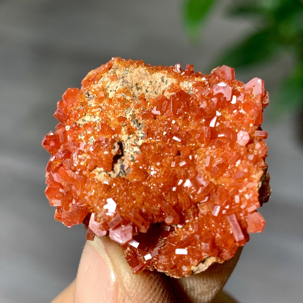 13GNatural Beautiful Vanadinite Atone Cluster Quartz Mineral SamplefromMorocco