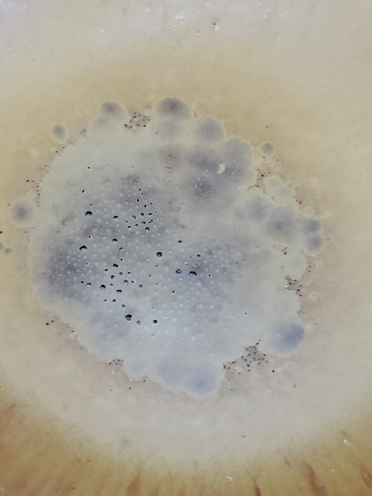 MCM Art Pottery Covered Dish Dot Pattern Signed "Devereux"