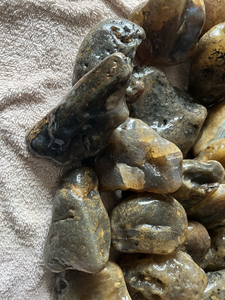 27 Lbs. Rough Montana Agate (46)