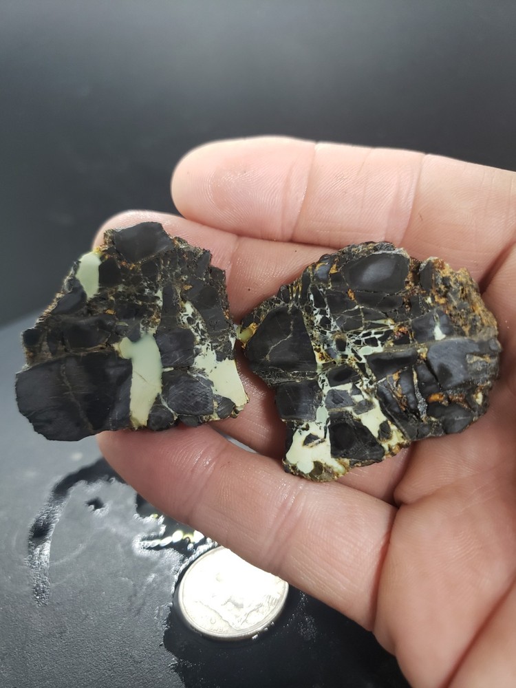 Nevada Gecko Variscite Slabs