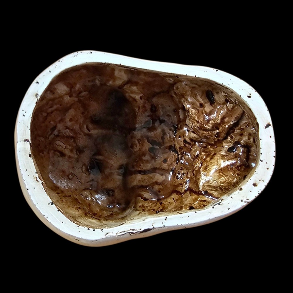 Trunk Of Requirements Experimental Test Subject Skull