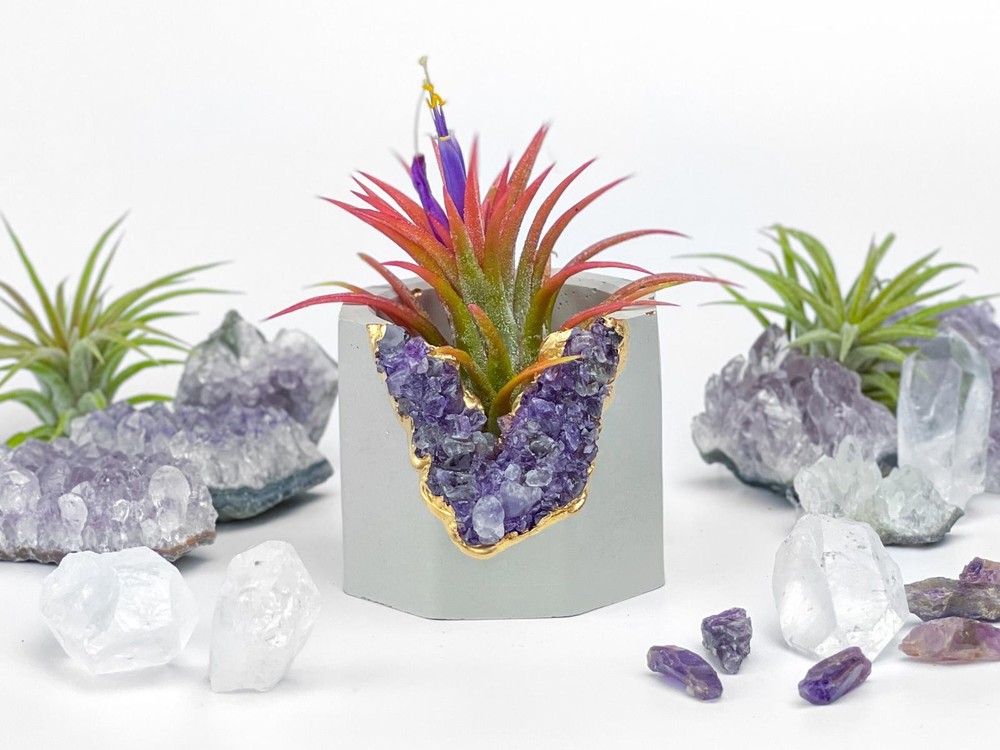 Amethyst Crystal Concrete Planter | Geode Succulent Pot