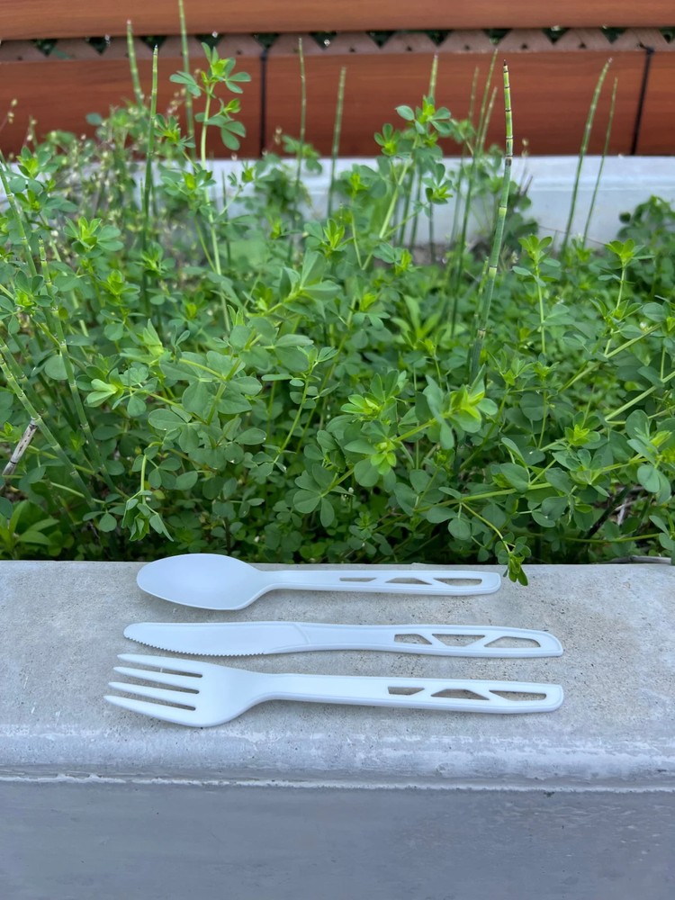 Plates & Cutlery Set (100 guests)
