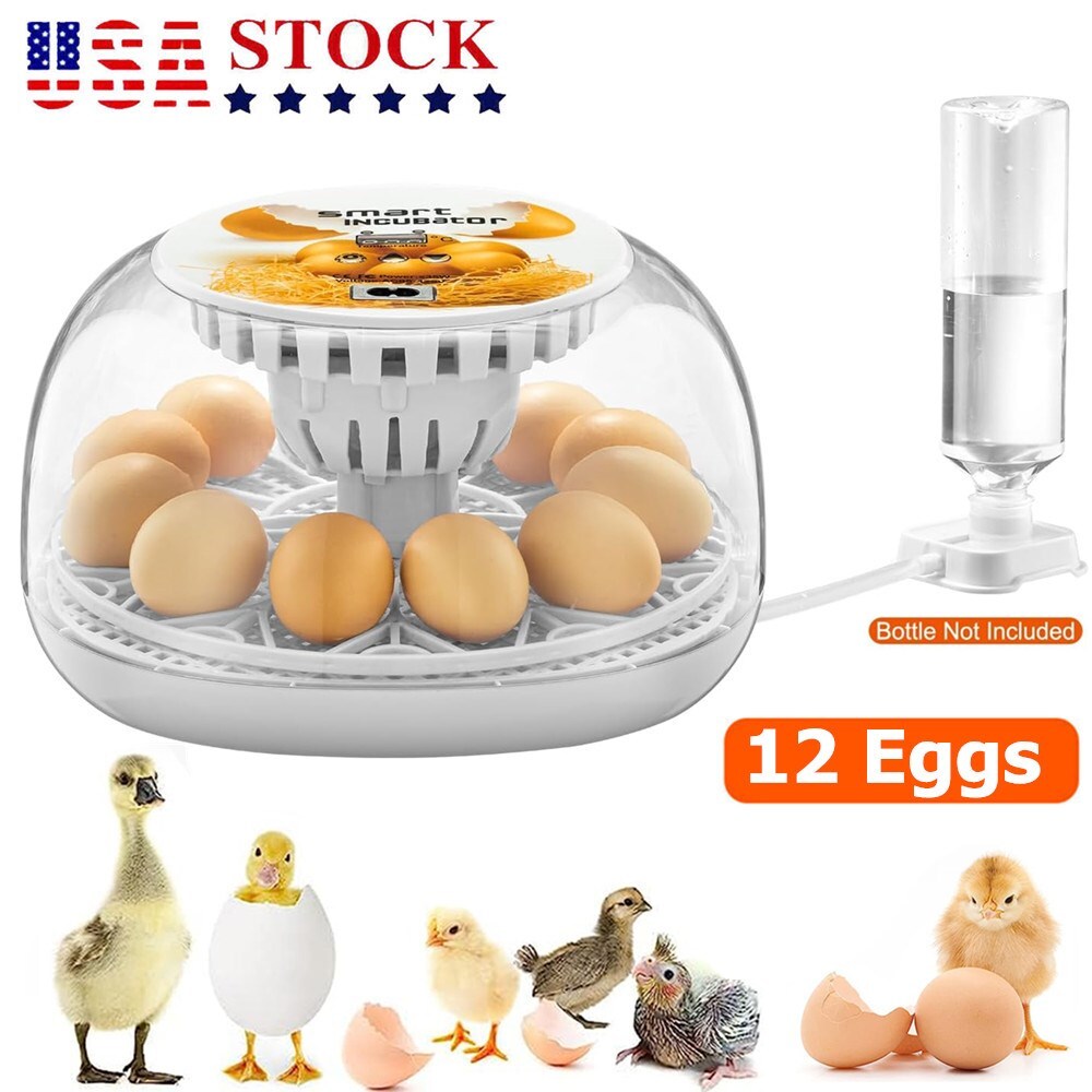Egg Incubator 12 Eggs Incubator with Automatic Egg Turning for Hatching Eggs