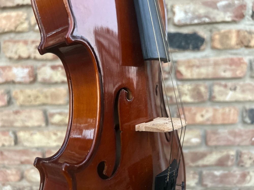 Maestro violin with two bows