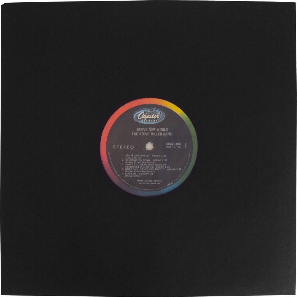 100x 12" Black Polylined Record Inner Sleeves COLORED Paper Plastic ARCHIVAL