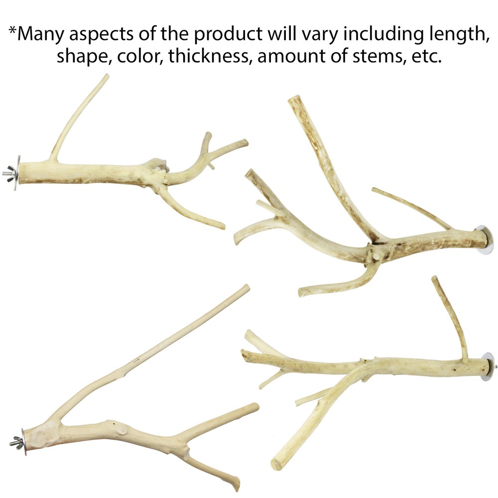 Multi-Branch Perch, Small - Durable Cage Accessory - Sugar Glider, Rat, Parrot