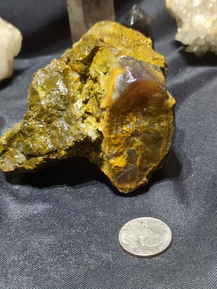 Petrified Wood Limb w/ Opalization Specimen Natural Form (1lb 11oz)