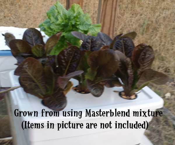 Masterblend Tomato & Vegetable Fertilizer 4-18-38 - 1 lb