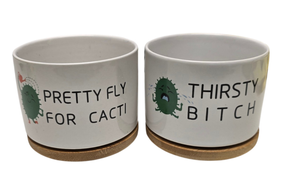 Funny Ceramic Succulent Cactus Planter Pot with Bamboo Saucers - Thank You for