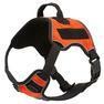 Quest Multi-Purpose Harness. Orange LARGE