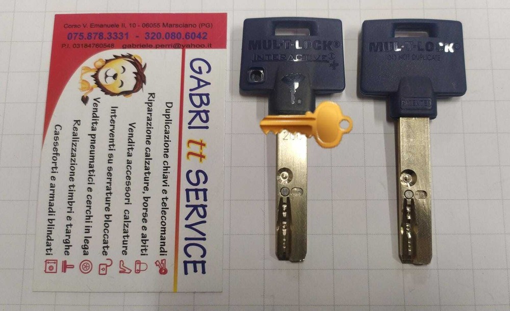 MulTLock 206 Interactive Plus 206S+ PROTECTED KEY WORKED CARD PROPERTY