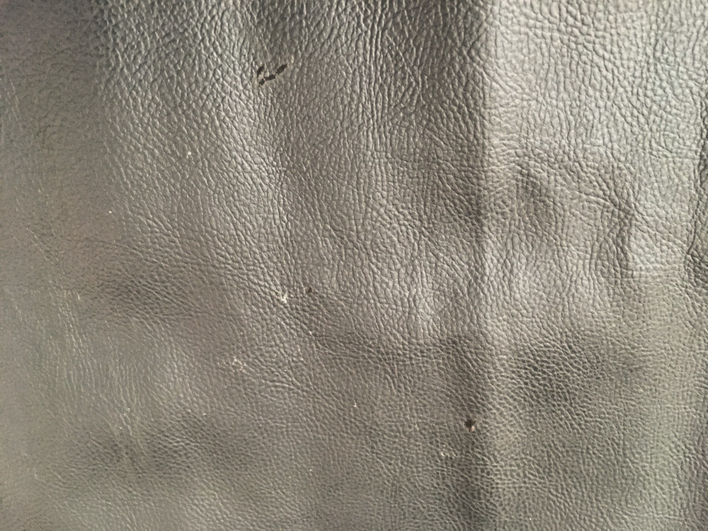Peterbilt 579 / 567 Windshield Privacy Curtain (2013-2026)