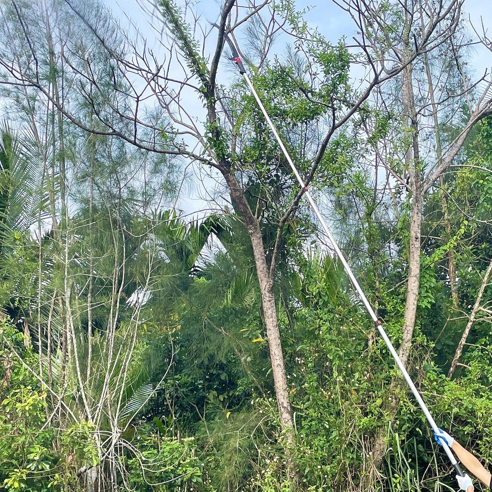 5-13FT Tree Trimmer Pole Saw, Tree Pruner Extendable, Long Handle Pruning She...